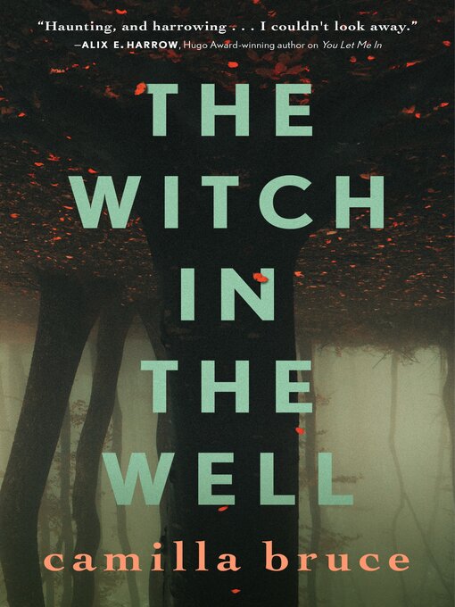 Title details for The Witch In the Well by Camilla Bruce - Wait list